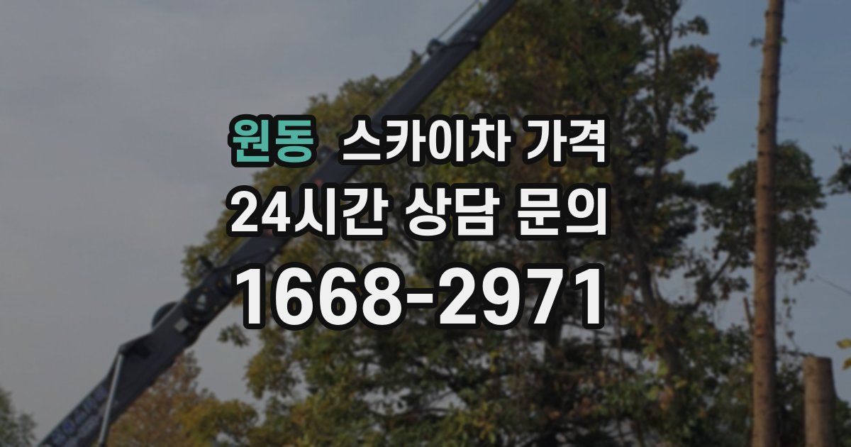 원동 스카이차 가격