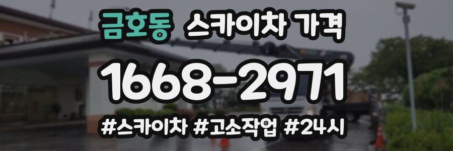 금호동 스카이차 가격