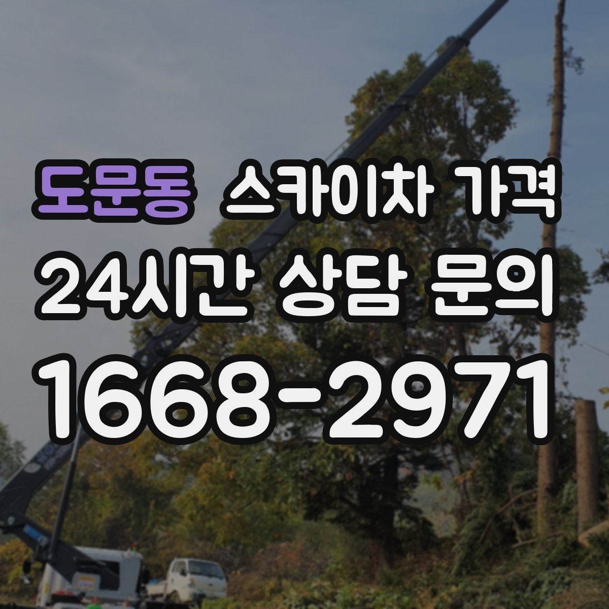 도문동 스카이차 가격 사고 위험을 낮추는 현장 준비 체크
