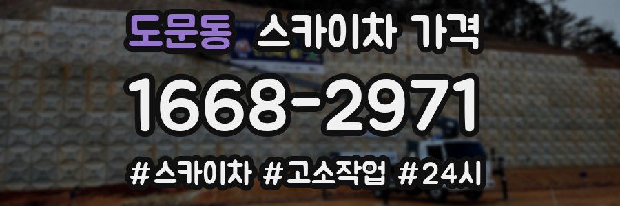 도문동 스카이차 가격