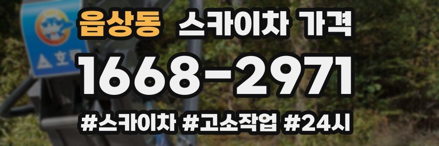 읍상동 스카이차 가격