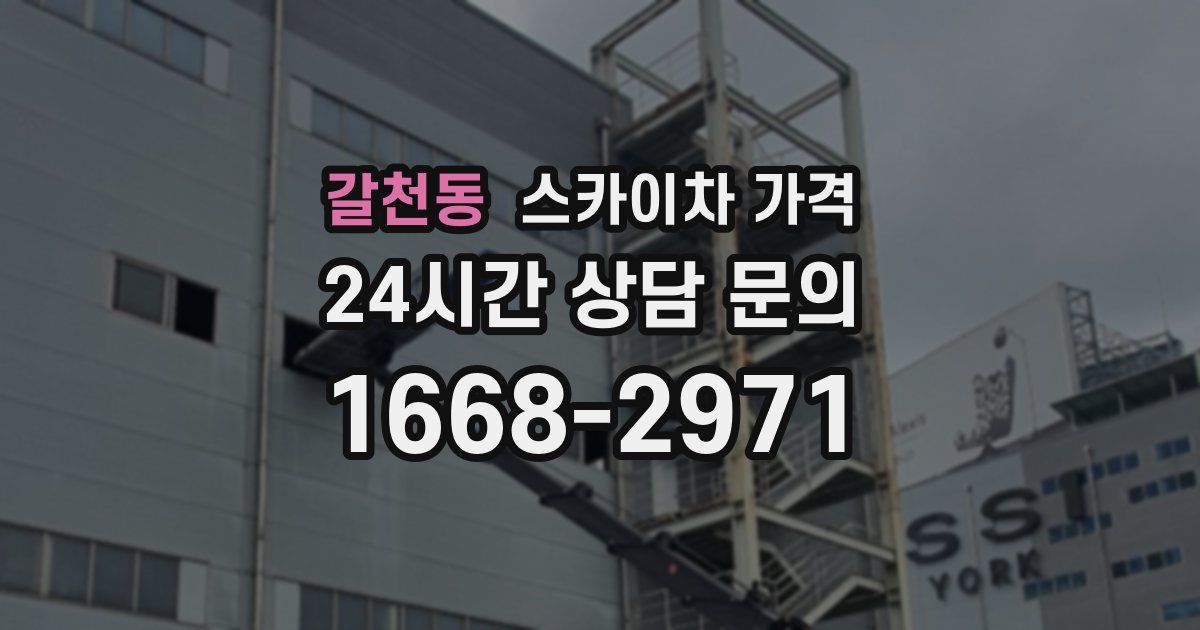 갈천동 스카이차 가격