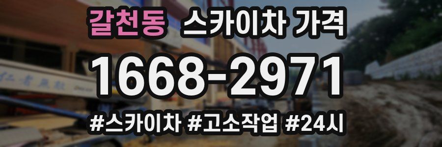 갈천동 스카이차 가격