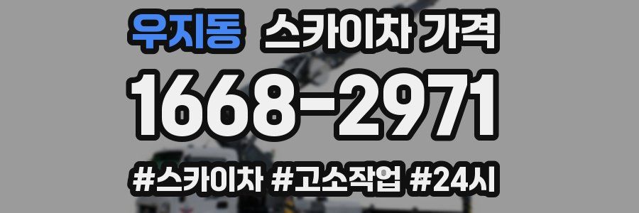 우지동 스카이차 가격