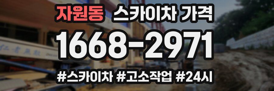 자원동 스카이차 가격