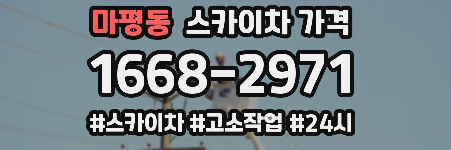 마평동 스카이차 가격