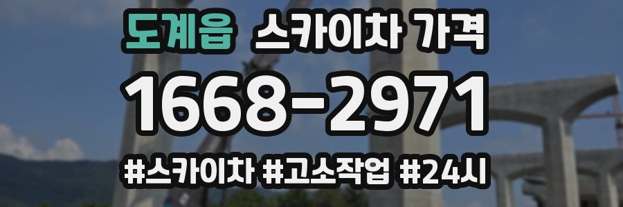 도계읍 스카이차 가격