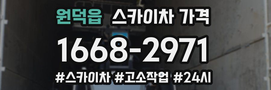 원덕읍 스카이차 가격