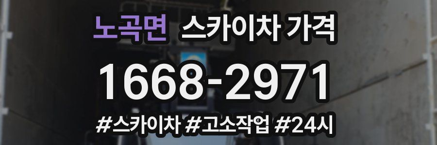 노곡면 스카이차 가격