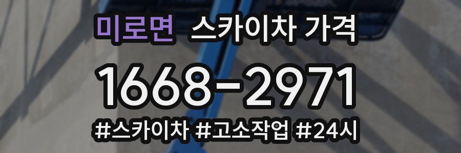 미로면 스카이차 가격