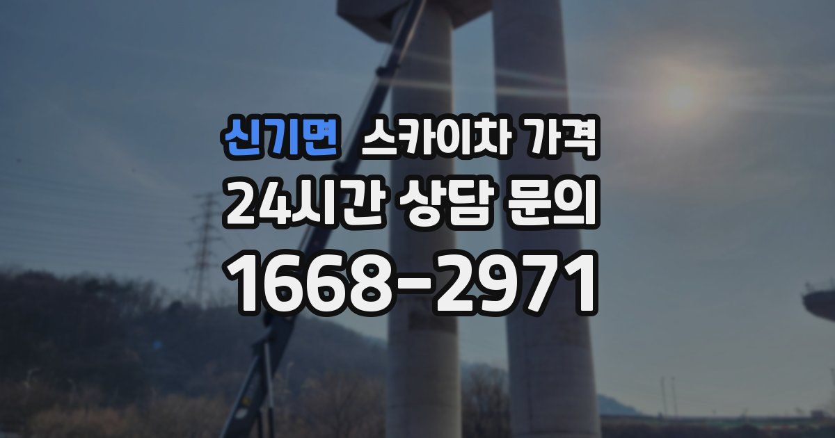신기면 스카이차 가격