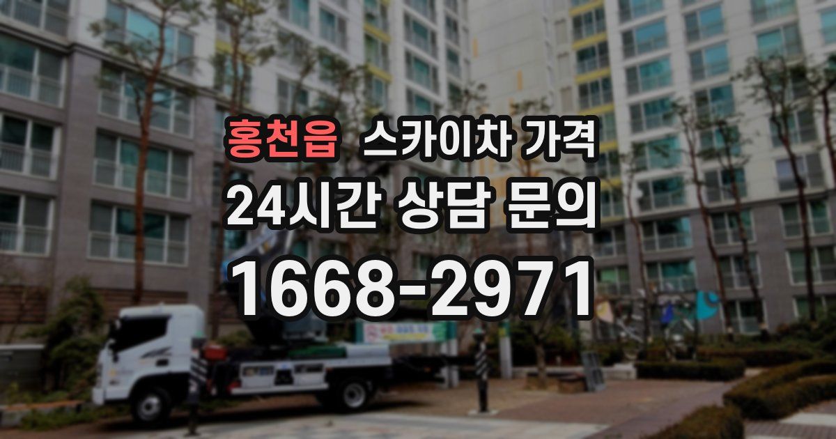 홍천읍 스카이차 가격