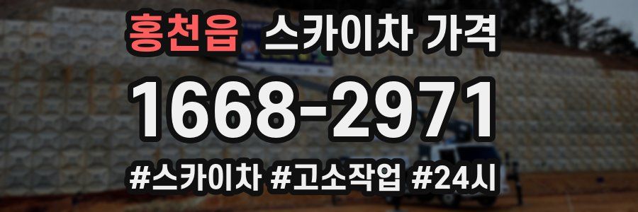 홍천읍 스카이차 가격