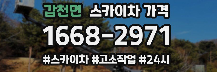 갑천면 스카이차 가격