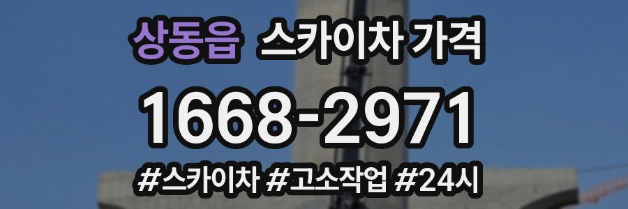 상동읍 스카이차 가격