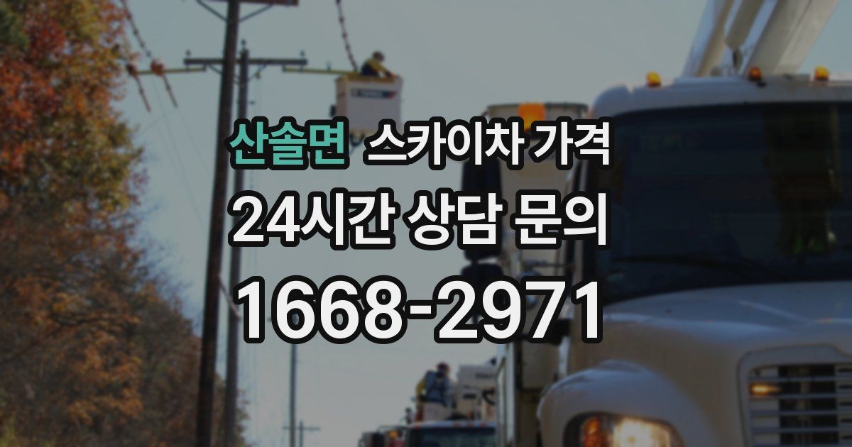 산솔면 스카이차 가격