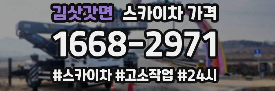 김삿갓면 스카이차 가격