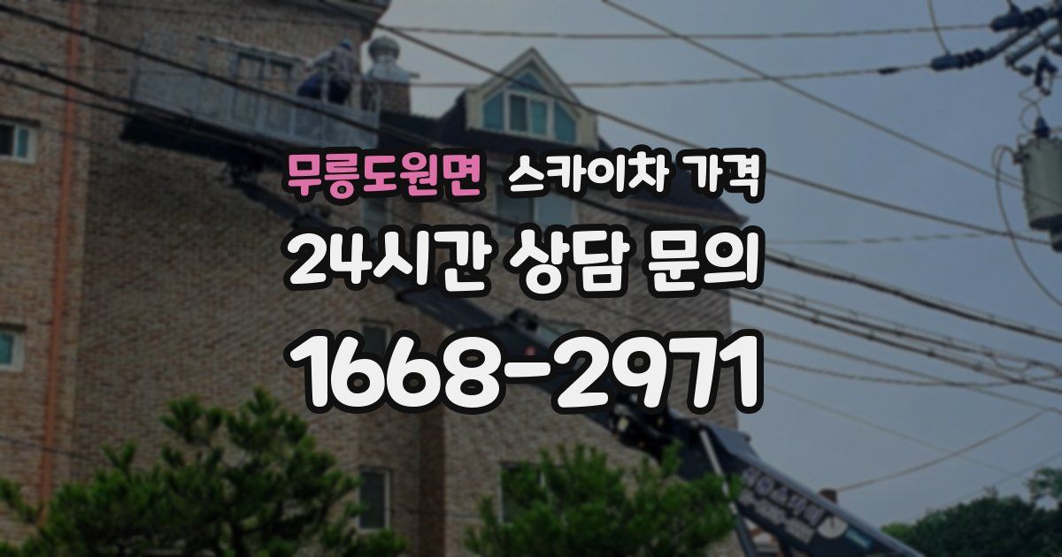 무릉도원면 스카이차 가격