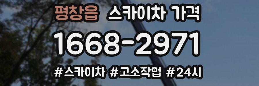 평창읍 스카이차 가격