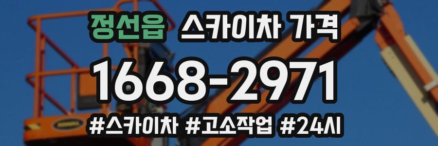 정선읍 스카이차 가격