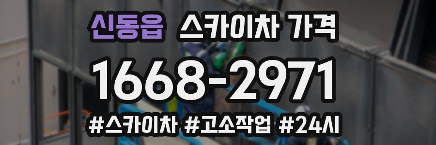 신동읍 스카이차 가격