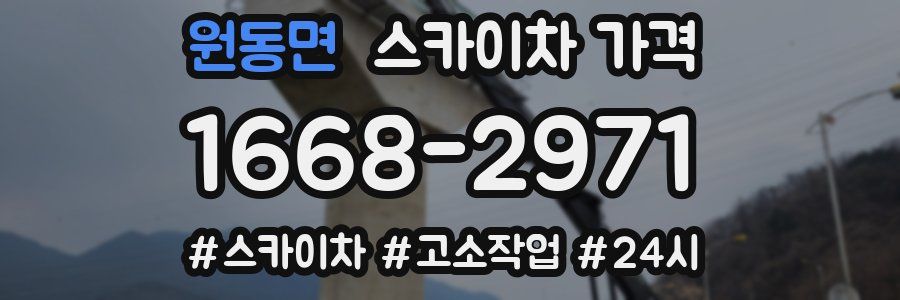 원동면 스카이차 가격