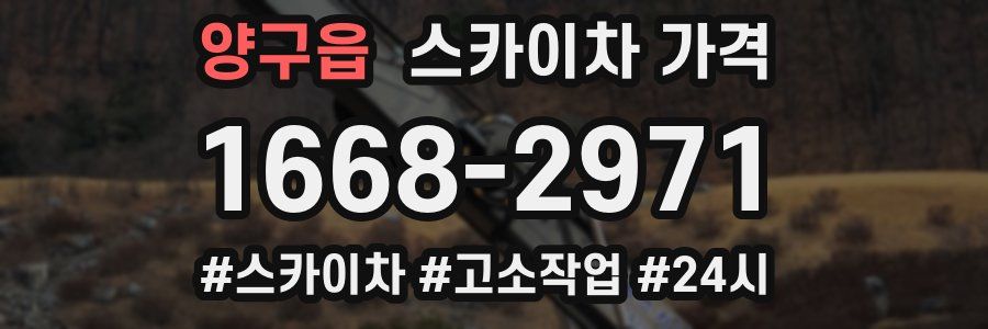 양구읍 스카이차 가격