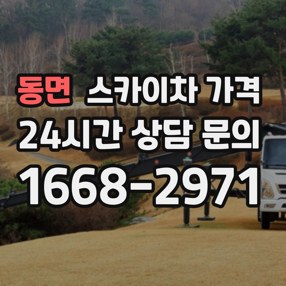 동면 스카이차 가격 전선·전봇대 등 장애물이 많을 때