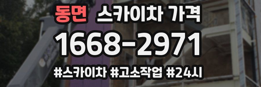 동면 스카이차 가격