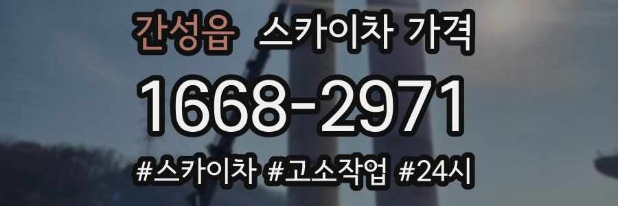 간성읍 스카이차 가격