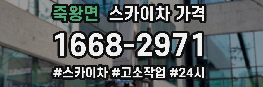 죽왕면 스카이차 가격