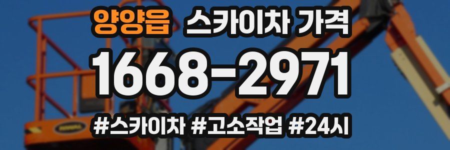 양양읍 스카이차 가격