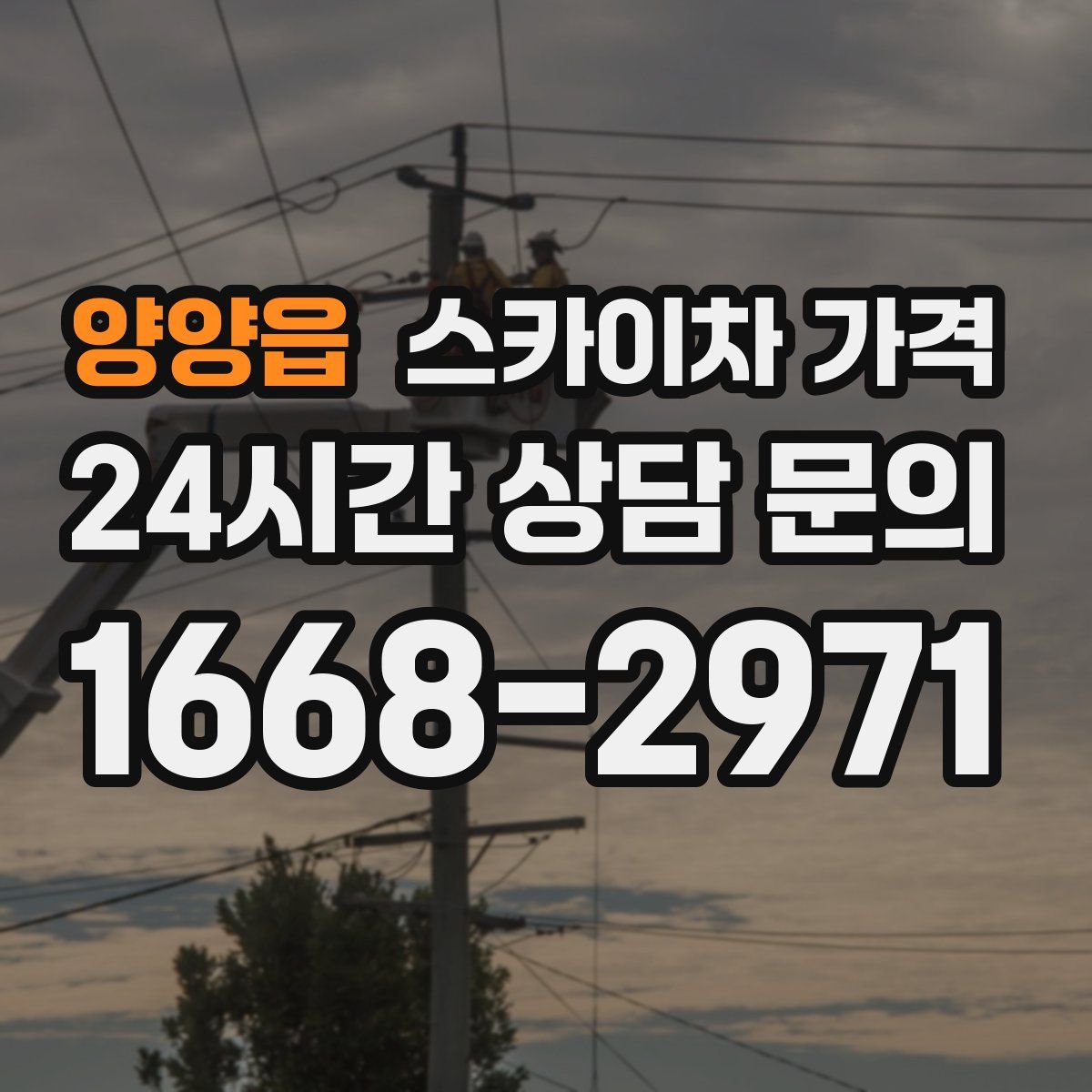 양양읍 스카이차 가격