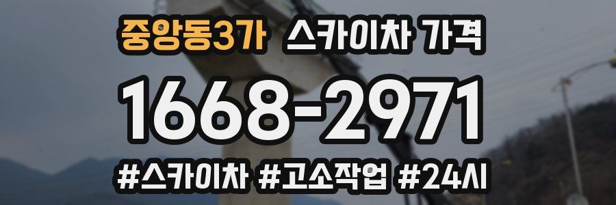 중앙동3가 스카이차 가격