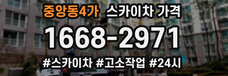 중앙동4가 스카이차 가격