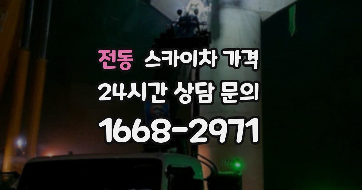 전동 스카이차 가격