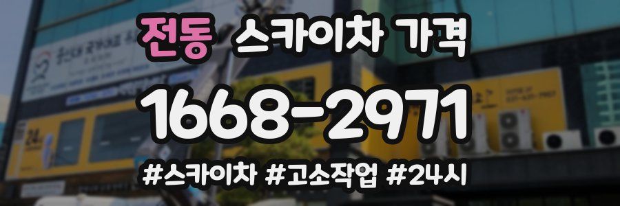 전동 스카이차 가격