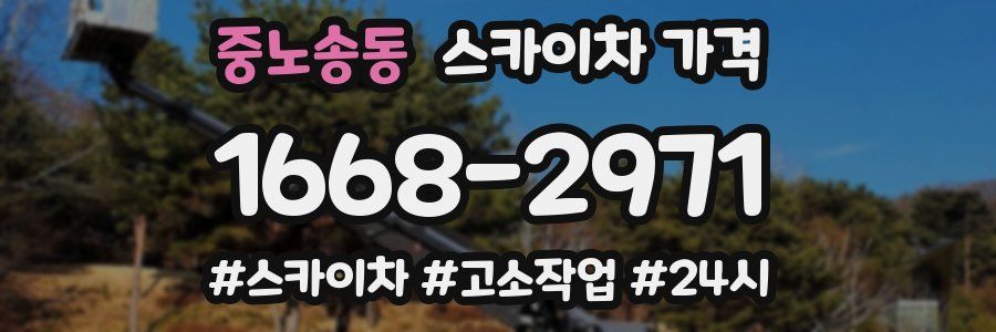 중노송동 스카이차 가격