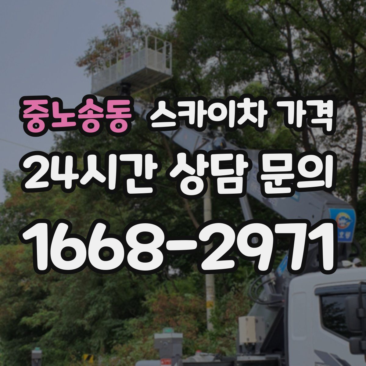 중노송동 스카이차 가격