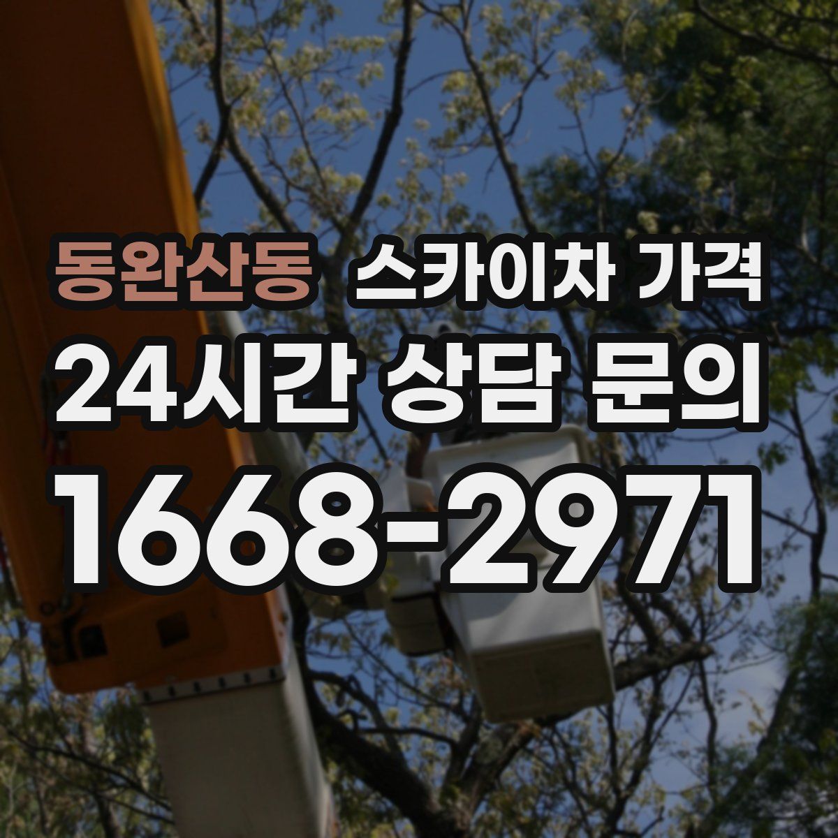 동완산동 스카이차 가격