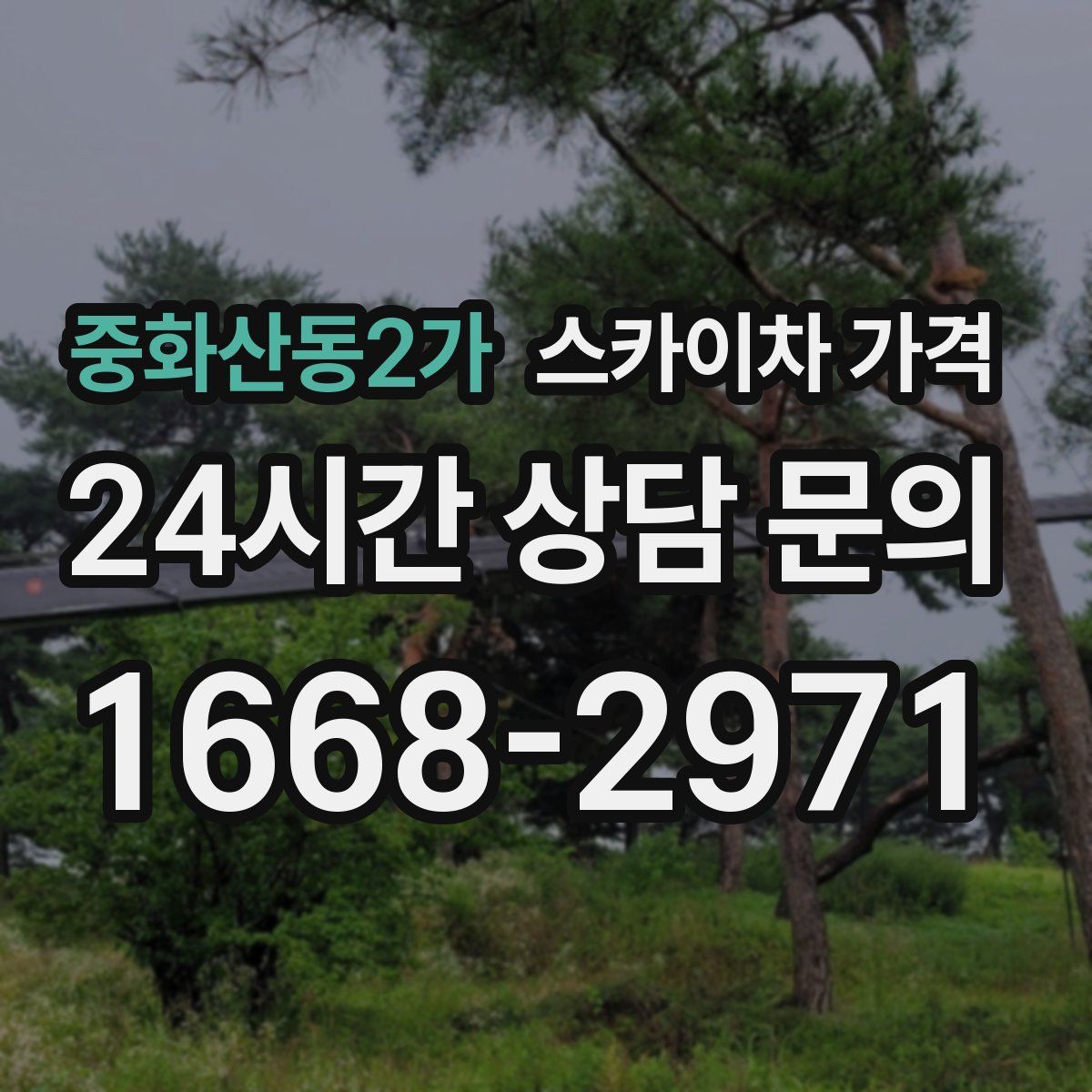 중화산동2가 스카이차 가격