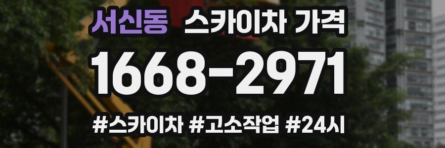 서신동 스카이차 가격