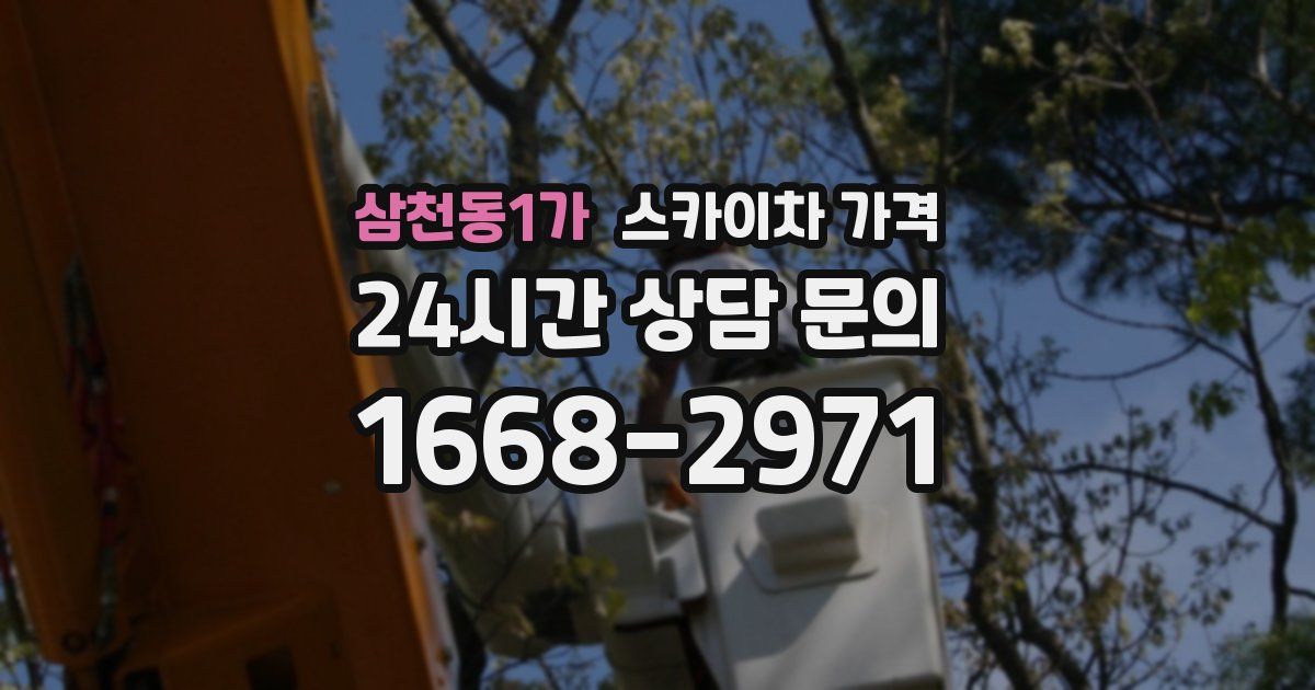 삼천동1가 스카이차 가격