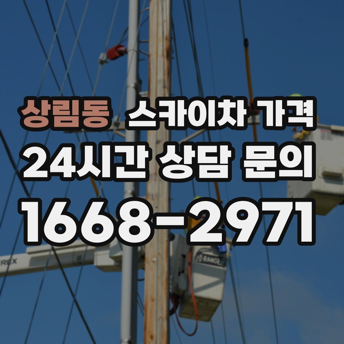 상림동 스카이차 가격 '싼 견적'이 항상 좋은 선택이 아닌 이유