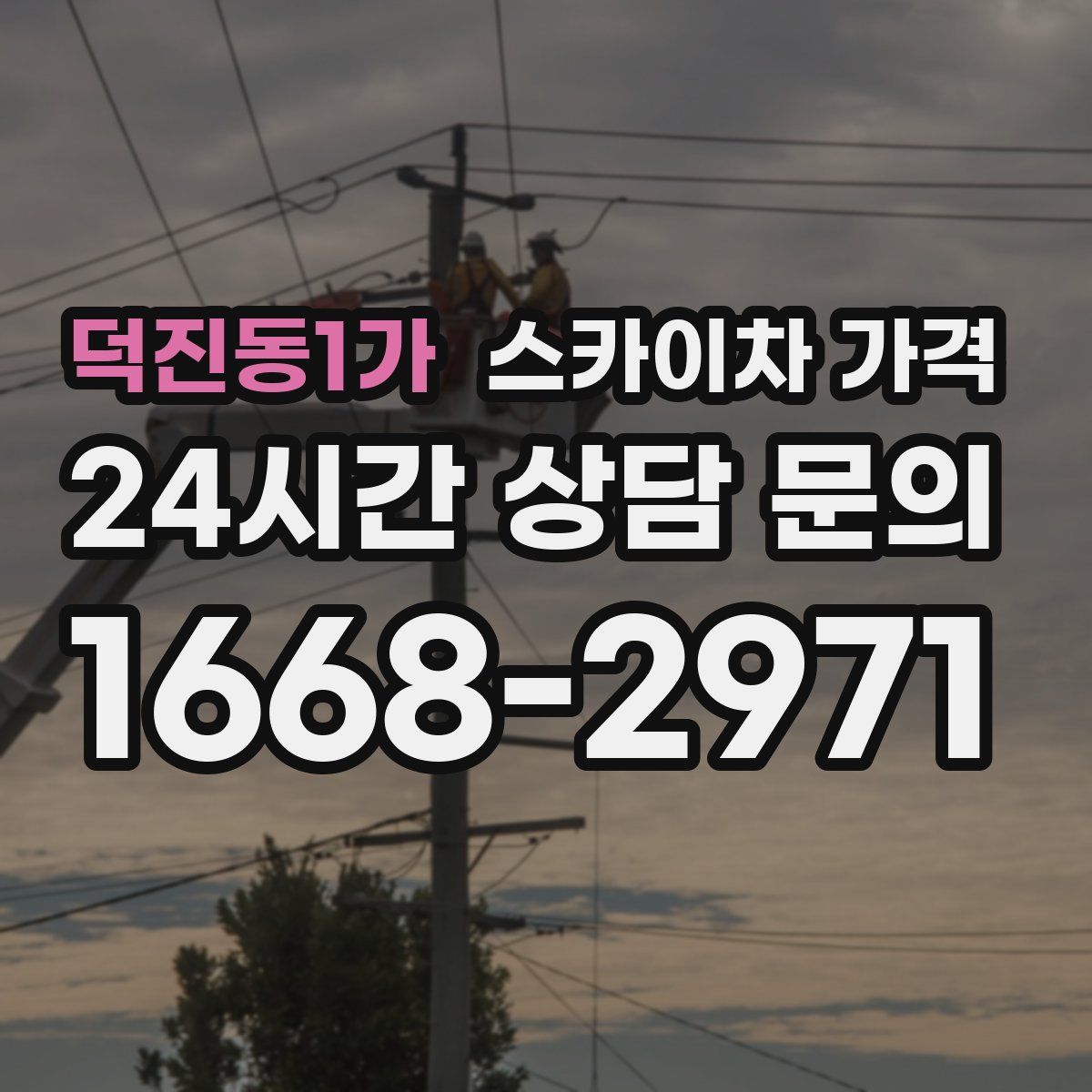 덕진동1가 스카이차 가격