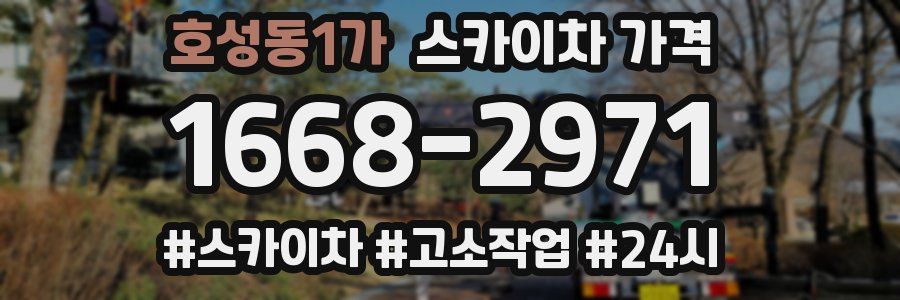 호성동1가 스카이차 가격