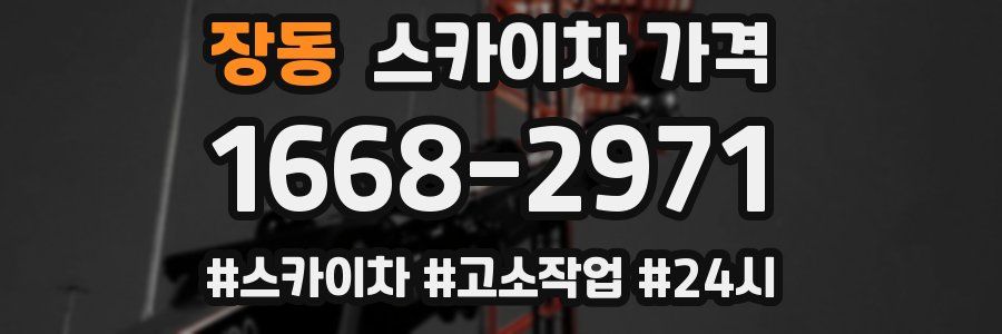 장동 스카이차 가격