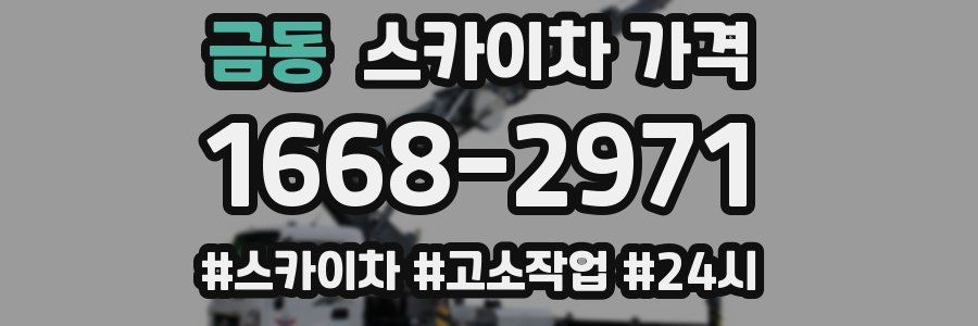 금동 스카이차 가격