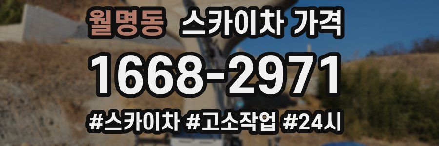 월명동 스카이차 가격