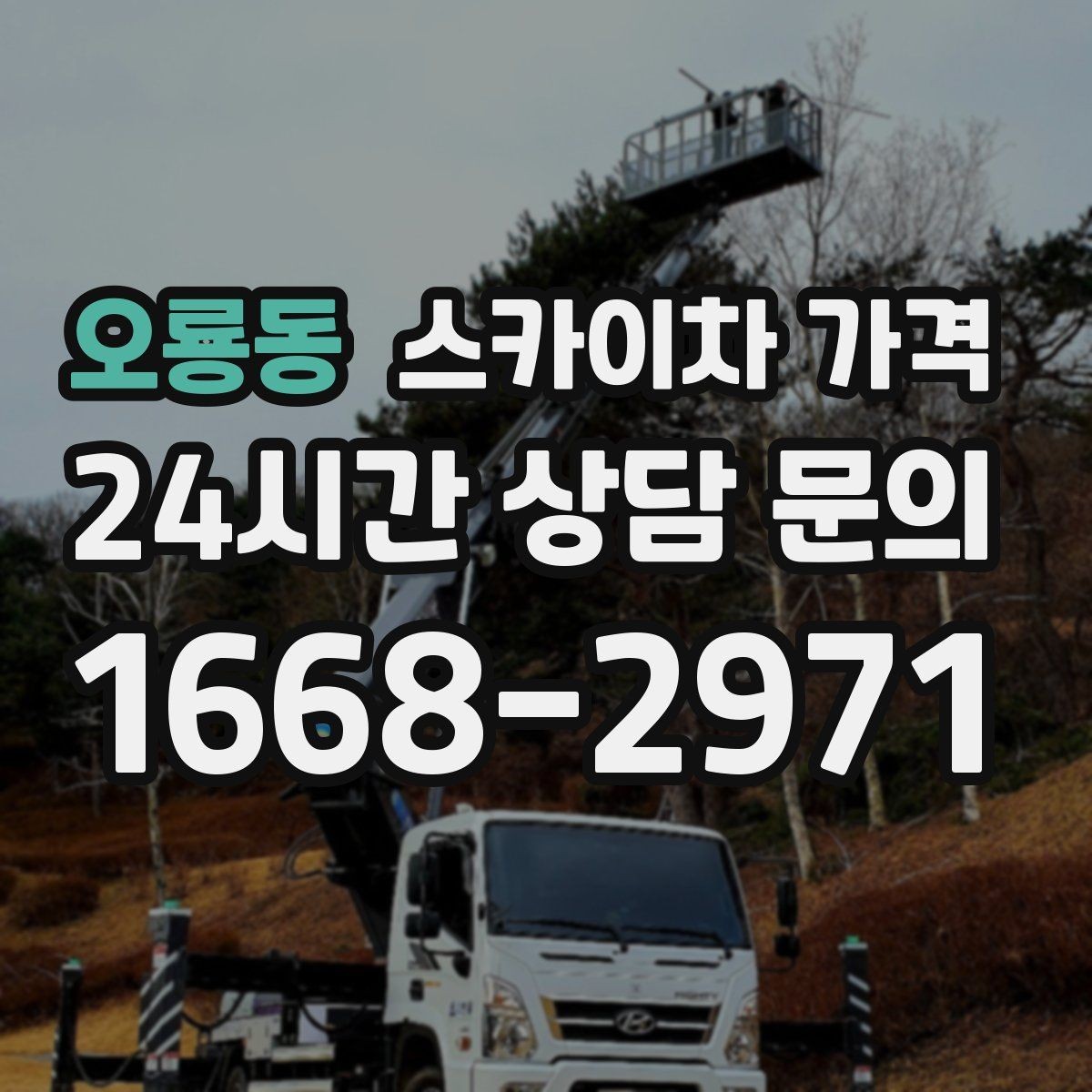 오룡동 스카이차 가격 가로수·간판·전선이 동선을 막을 때